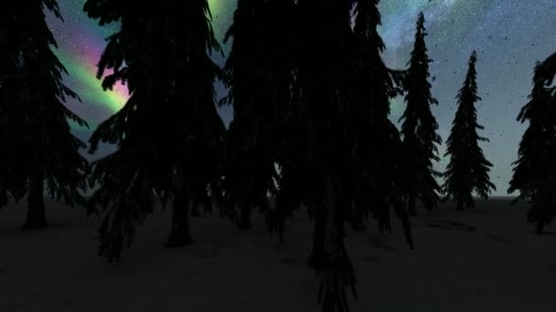 Luzes do norte sobre a floresta na Noruega. Aurora boreal . — Vídeo de Stock