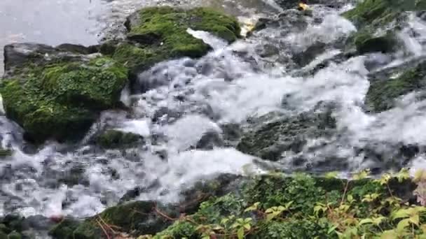 Primer plano del agua que fluye sobre una pequeña cascada — Vídeos de Stock