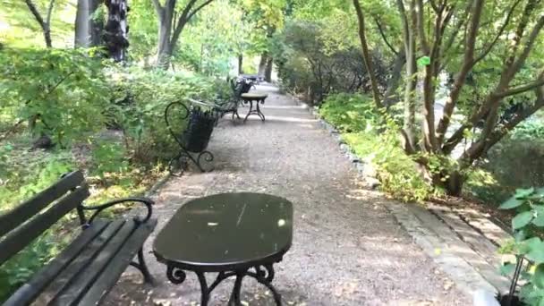 Пути осенью в общественном парке — стоковое видео
