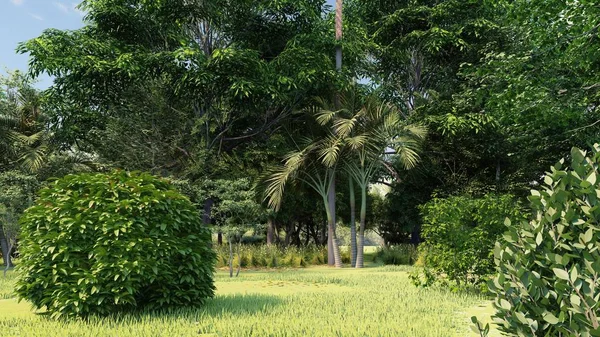 Тропічний парк в другій половині дня 3d рендеринг — стокове фото