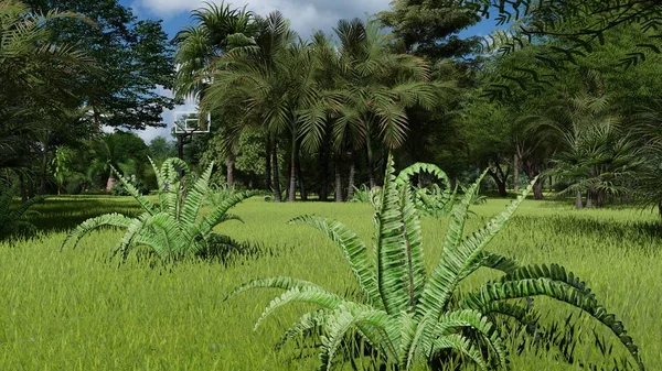 Parque tropical na tarde 3d renderização — Fotografia de Stock