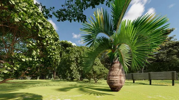 Parque tropical na tarde 3d renderização — Fotografia de Stock