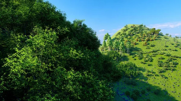Jungle heuvels in Okinawa, Japan 3d weergave — Stockfoto