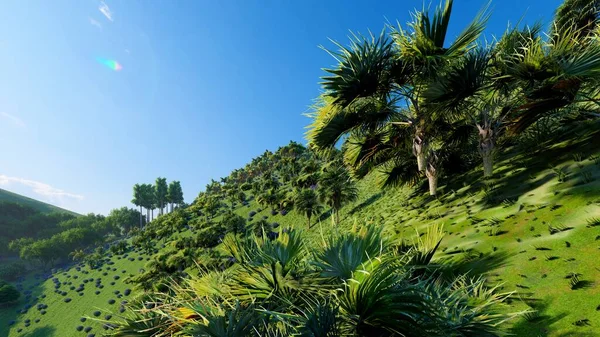 Selva colinas en Okinawa, Japón 3d rendering — Foto de Stock