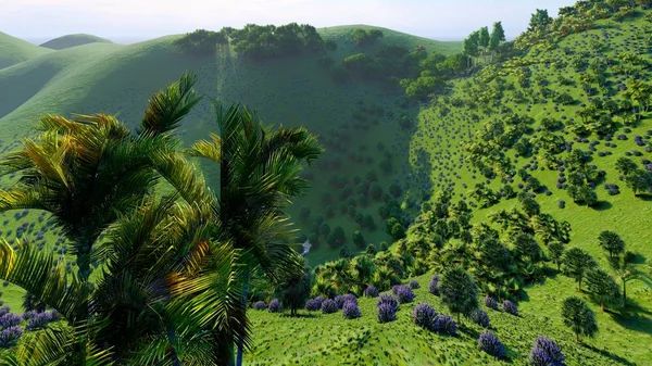 Colinas na selva em Okinawa, Japão 3d rendering — Fotografia de Stock