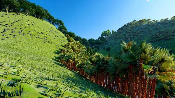 Colline della giungla a Okinawa, Giappone rendering 3d — Foto Stock