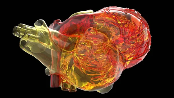 模型的人工心脏 3d 渲染 — 图库照片