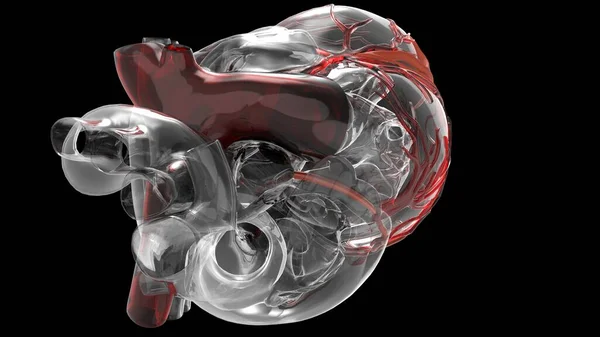 Modelo de corazón humano artificial 3d rendering — Foto de Stock