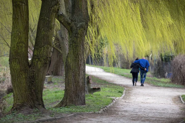 Giovane coppia godendo a piedi nel parco estivo — Foto Stock