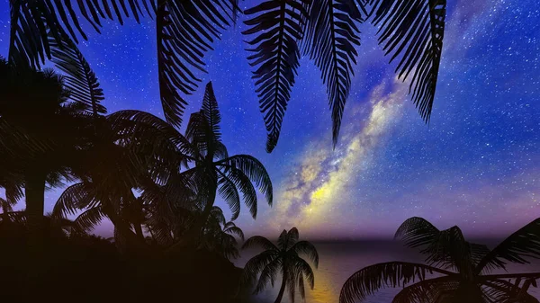 Palmiers, coucher de soleil et le ciel étoilé rendu 3d — Photo