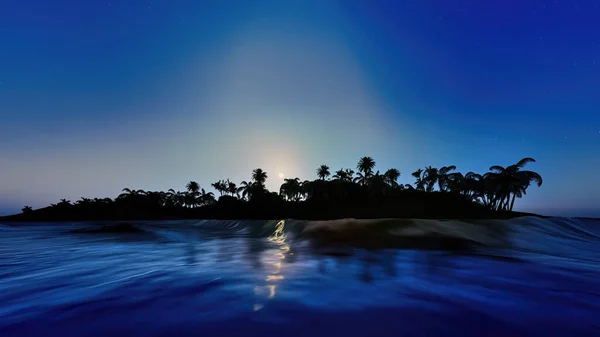 Palme, tramonto e il cielo stellato rendering 3d — Foto Stock