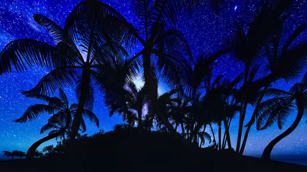 Palmy, západ slunce a hvězdná obloha 3d vykreslování — Stock fotografie