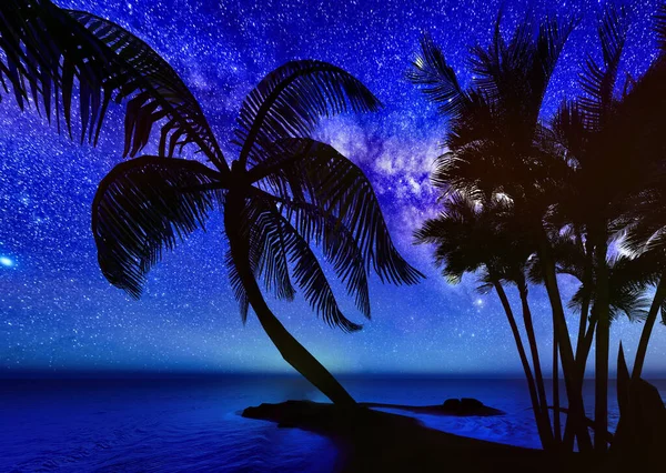 Palmiers, coucher de soleil et le ciel étoilé rendu 3d — Photo