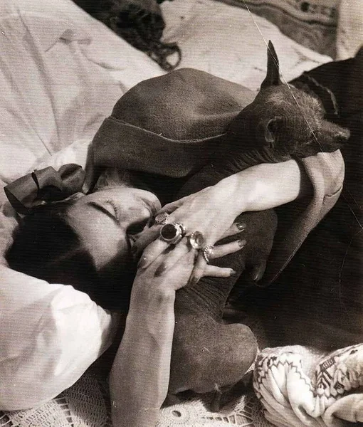 Фріда Кало де Рівера 1907 - 1954, відома мексиканська художниця — стокове фото