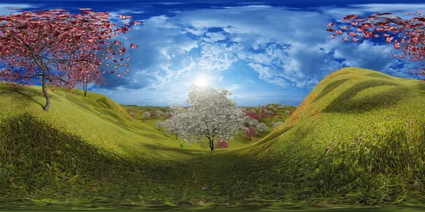 Flowering dogwood trees in orchard in spring time 3d rendering — Stock Photo, Image