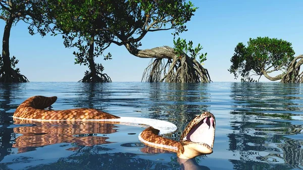 Snake in red mangroves on Florida coast 3d rendering — Stock Photo, Image