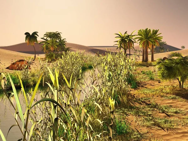 Bellissimo sfondo naturale oasi africana rendering 3d — Foto Stock