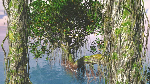Красные мангровые деревья на побережье Флориды — стоковое фото