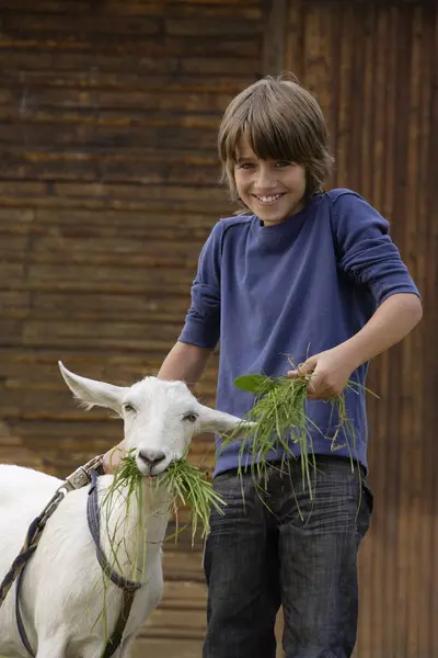 Boy standing and feeding goat — Stock Photo, Image