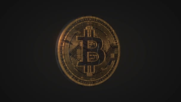 Bitcoin - bits munt Btc. Crypto — Stockvideo