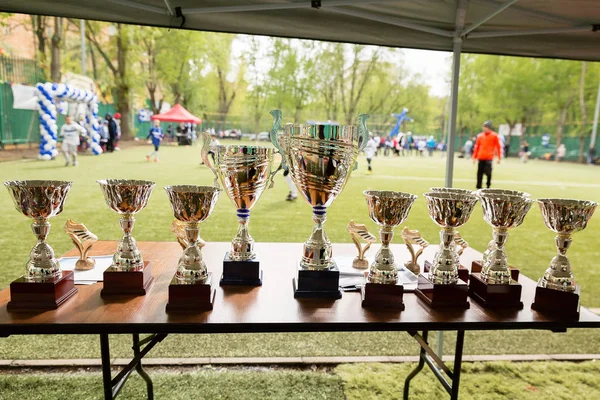 Cups and rewards on table