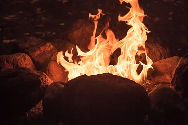 Lagerfeuer brennt in der Nacht — Stockfoto