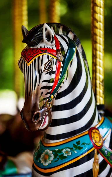 Passeggiata a cavallo zebra — Foto Stock