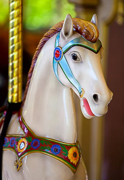 Cavallo colorato — Foto Stock