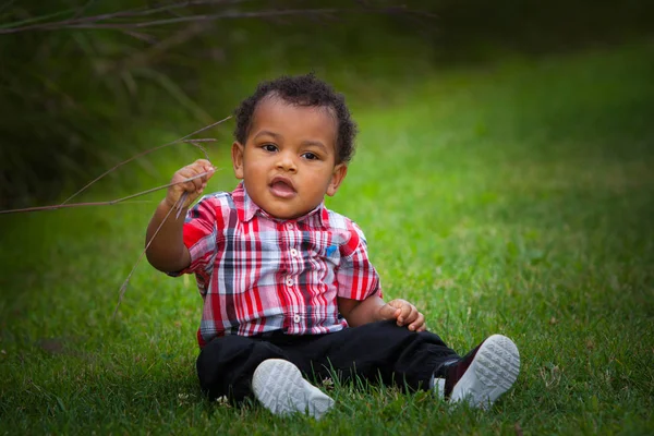 草で遊ぶ少年 — ストック写真