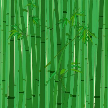 Vektör çizim ile bambu ormanı