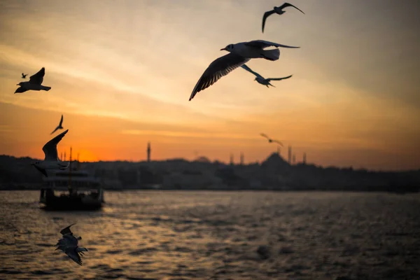 Istanbul ville et bateau à vapeur — Photo