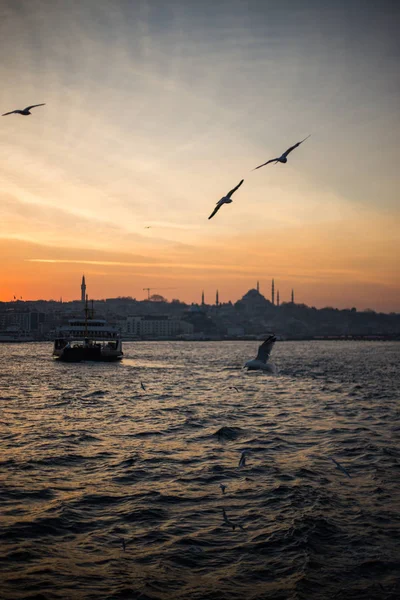 Istambul cidade e barco a vapor — Fotografia de Stock