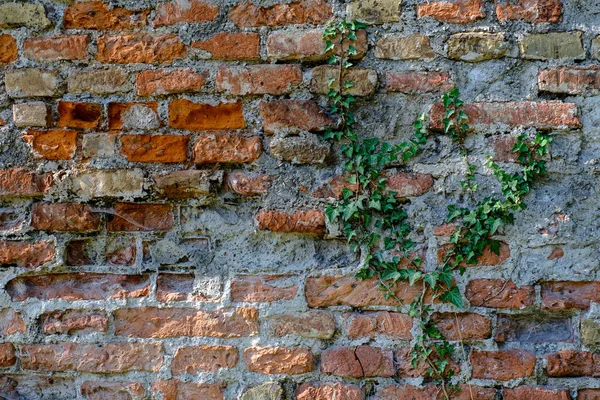 Каменная Стена Backgroundrustic Stone Wall Old Construction Textured Evenly Lit — стоковое фото