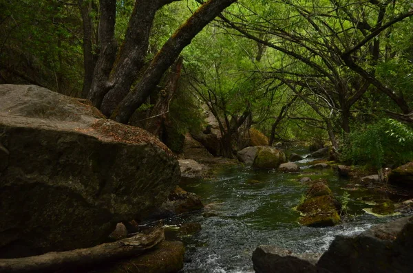 Fiume nascosto in Patagonia — Foto Stock