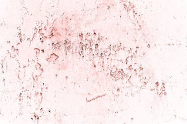 Klasik pembe arka plan. Fiesta renginde kaba boyanmış bir duvar.