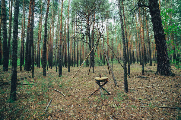 Venue of mysterious rite in dark woods. Witches place in enchanted forest.