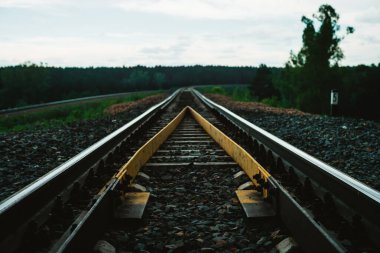 Orman boyunca demiryolu manzarası. Demiryolu üzerinde yolculuk