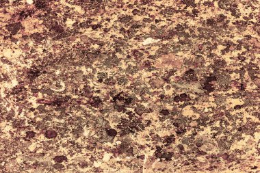 Klasik sarı arka plan. Aspen altın renginde pürüzlü boyalı duvar