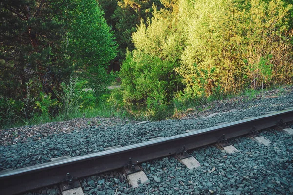 Yeşillik Bitki Örtüsü Arka Planında Fotokopi Alanı Olan Demiryolu — Stok fotoğraf