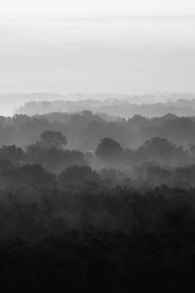 Mystical View Top Forest Haze Early Morning — Stock Photo, Image