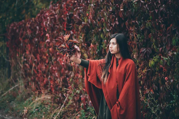 Dreamy Beautiful Girl Long Natural Black Hair Autumn Background Green — Stock Photo, Image