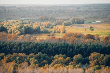 Grove ve nehri ile muhteşem sonbahar manzarası. Ağaçlarda çok renkli yapraklar. Manzara sonbahar yeşilliği. Sarı turuncu yapraklar. Altai 'de güzel bir sonbahar. Renkli sonbahar ormanı. Resim gibi bir manzara..
