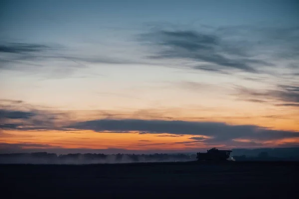 Silueta Cosechadora Para Cosechar Trigo Atardecer Combine Cosechadora Conduciendo Campo — Foto de Stock