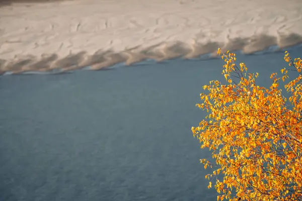 Orange Yellow Golden Autumn Leaves Blue Water Background Scenic Autumn — Stock Photo, Image
