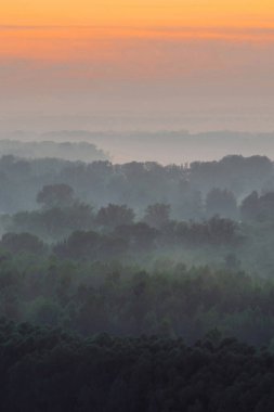 Sabahın erken saatlerinde sis altında ormanın tepesinden mistik bir manzara. Şafak öncesi gökyüzünün altında taiga ağaç siluetleri katmanları arasında Sis. Görkemli doğanın sakin sabah atmosferik minimalist manzara.