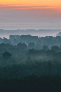 Sabahın erken saatlerinde sis altında ormanın tepesinden mistik bir manzara. Sıcak şafak öncesi gökyüzü altında taiga ağaç siluetleri katmanları arasında Sis. Görkemli doğanın sabah atmosferik minimalist manzara.