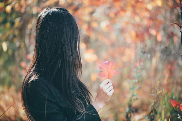Dreamy beautiful girl with long natural black hair on autumn background with colorful leaves in bokeh. Girl enjoys nature in autumn forest. Inspired girl surrounded by vivid foliage. View from back.