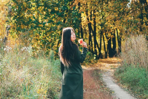 Chica Hermosa Ensueño Con Pelo Largo Negro Natural Luz Del —  Fotos de Stock