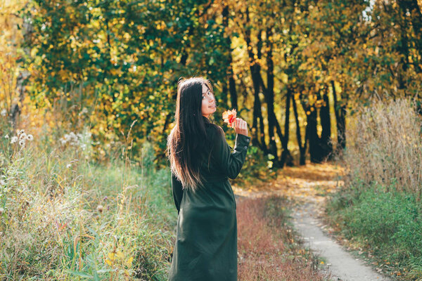 Dreamy beautiful girl with long natural black hair in sunlight on background with colorful leaves. Fallen leaves in girl hands in autumn forest. Female beauty portrait among vivid foliage in sunny day