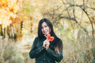 Güz arka planında uzun doğal siyah saçlı, renkli yaprakları Bokeh 'te rüya gibi güzel bir kız.. 